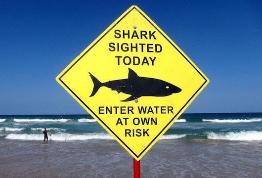 shark detection