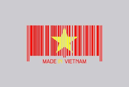 Vietnamese government 6G development